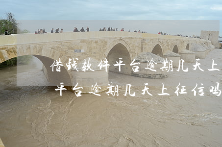 借钱软件平台逾期几天上征信吗-借钱软件平台逾期几天上征信吗有影响吗