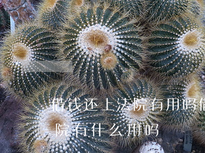 借钱还上法院有用吗(借钱的人还不起钱,去法院有什么用吗?)