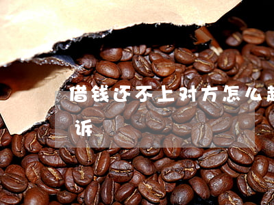 借钱还不上对方怎么起诉(借了钱不还怎么起诉)