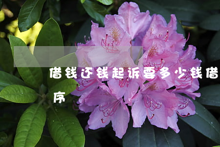 借钱还钱起诉要多少钱(借钱为还,提起诉讼程序)