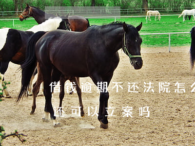 借钱逾期不还法院怎么立案(朋友借钱逾期不还可以立案吗)