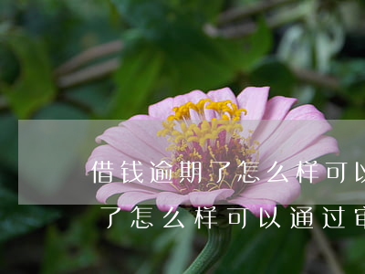 借钱逾期了怎么样可以通过审核-借钱逾期了怎么样可以通过审核呢