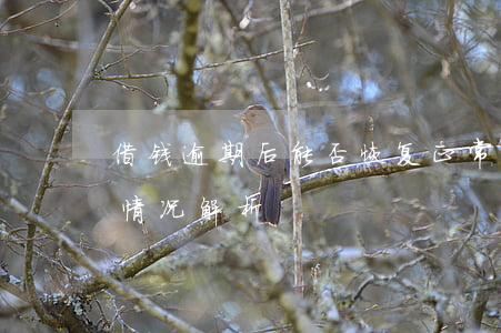 借钱逾期后能否恢复正常？影响征信及使用情况解析