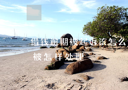 借钱逾期被起诉该怎么做(网上借钱逾期了会被怎样处理)