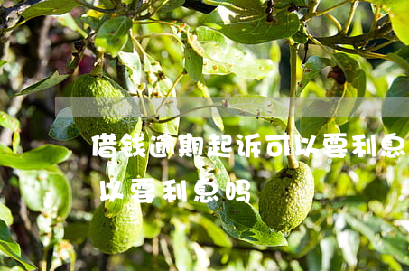 借钱逾期起诉可以要利息吗(借钱逾期起诉可以要利息吗)
