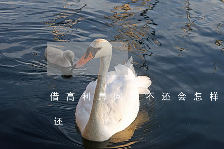 借高利息网贷不还会怎样(高利息网贷要不要还)