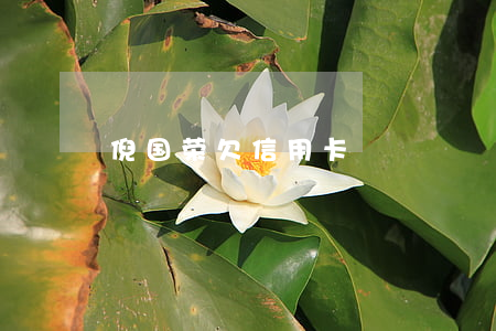 倪国荣欠信用卡