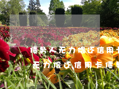 债务人无力偿还信用卡债务怎么办-债务人无力偿还信用卡债务怎么办呢