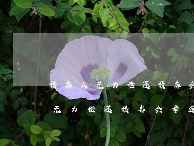 债务人无力偿还债务会牵连家人吗-债务人无力偿还债务会牵连家人吗知乎