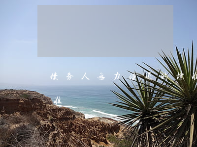 债务人无力偿还的标准(债务人无力偿还的标准)