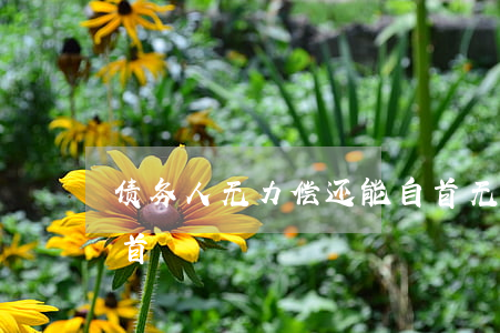 债务人无力偿还能自首 无力偿还债务怎么自首