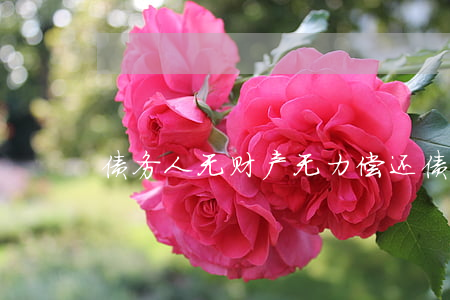 债务人无财产无力偿还债务怎么办