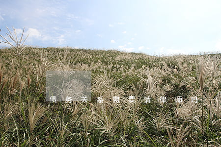 债务关系需要请律师吗