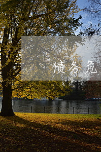 债务危机状况的特点是什么