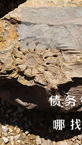 债务律师咨询费用收取标准（债务律师顾问去哪找）