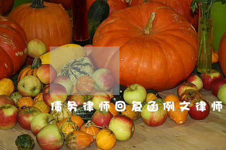 债务律师回复函例文(律师咨询回复函)