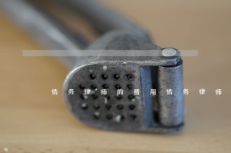 债务律师的费用(债务律师的费用)