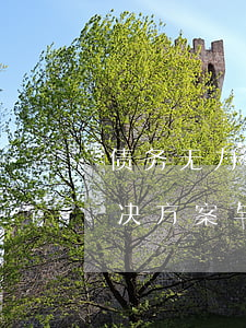 债务无力偿还了怎么办，无还款能力的债务：解决方案与建议