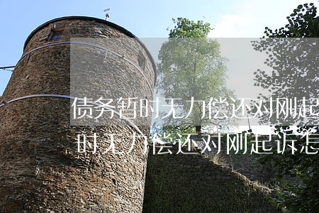 债务暂时无力偿还对刚起诉怎么办-债务暂时无力偿还对刚起诉怎么办有影响吗