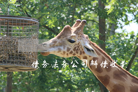 债务法务公司解债收费