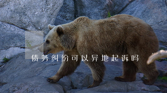 债务纠纷可以异地起诉吗