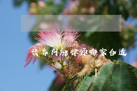 债务纠纷律师哪家合适