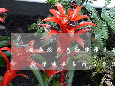 债务经济纠纷律师事务所二审咨询-债务纠纷律师事务所收费标准