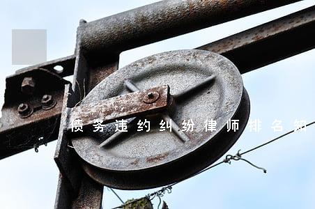 债务违约纠纷律师排名(知名债务律师)