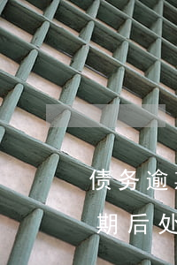 债务逾期后处理的先后次序不能乱-债务逾期后处理的先后次序不能乱执行吗