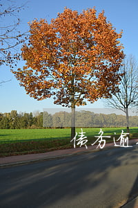 债务逾期后如何让银行卡人寒心-