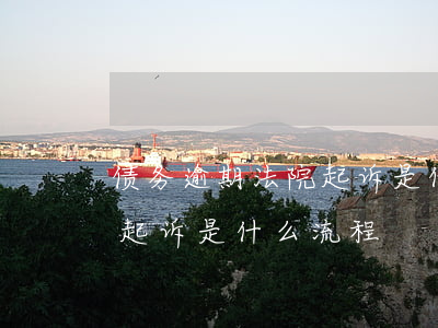 债务逾期法院起诉是什么流程(债务逾期法院起诉是什么流程)