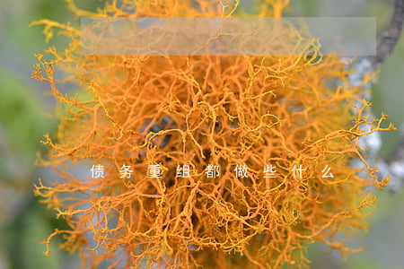 债务重组都做些什么