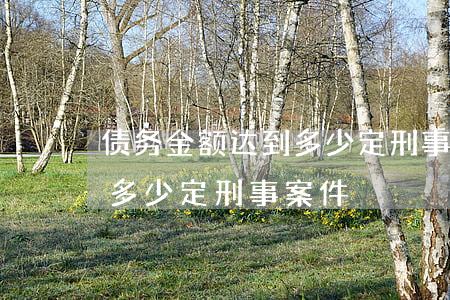 债务金额达到多少定刑事案件(债务金额达到多少定刑事案件)