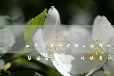 债务问题请律师什么时候要律师费-债务问题请律师什么时候要律师费呢