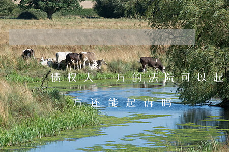 债权人一方的法院可以起诉吗(一方起诉了另一方还能起诉吗)