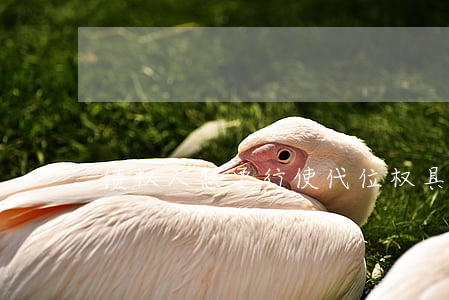 债权人想要行使代位权具体该怎么办