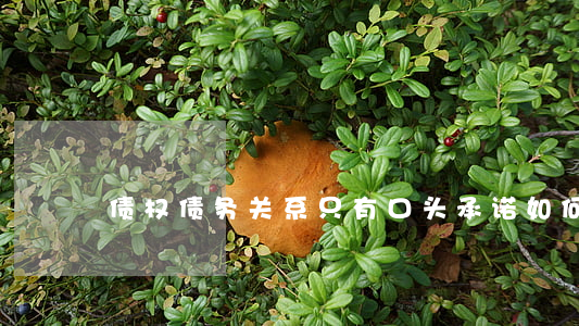 债权债务关系只有口头承诺，如何主张权利？