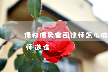 债权债务官司律师怎么收费（杞县债权债务律师选谁）