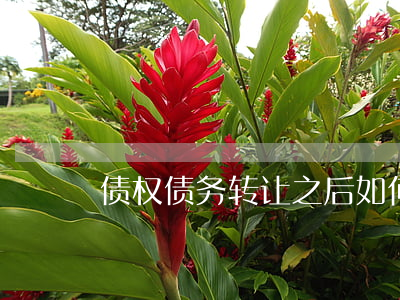 债权债务转让之后如何开票