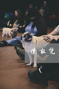 债权凭证制度起到的积极作用有哪些