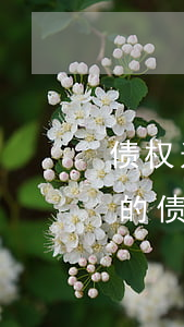 债权过了诉讼时效应该如何办(诉讼时效完成的债权) 债权过了诉讼时效应该如何办(诉讼时效完成的债权)