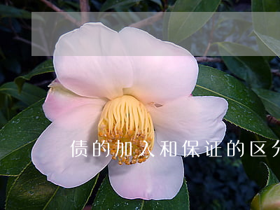 债的加入和保证的区分