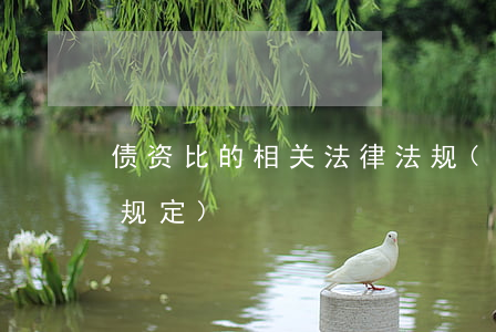 债资比的相关法律法规(中国债务法的相关规定)