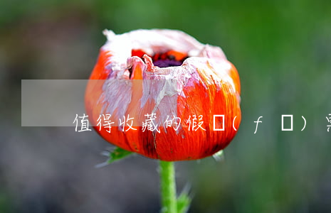 值得收藏的假發(fā)票五大審計技巧