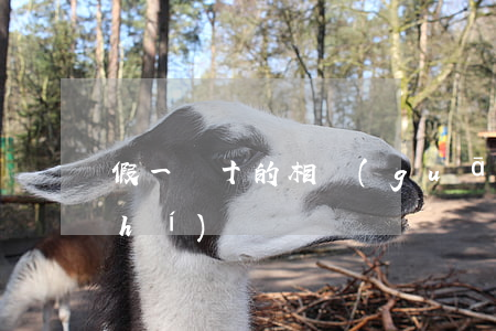 假一賠十的相關(guān)法律知識(shí)