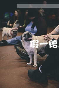 假一赔二再罚十 商家的美丽谎言
