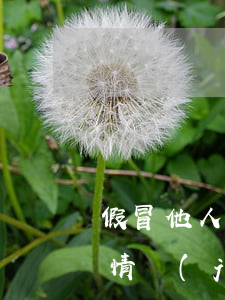 假冒他人注冊(cè)商標(biāo)“情節(jié)嚴(yán)重”如何認(rèn)定