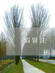 假冒注冊(cè)商標(biāo)罪若干問題研究