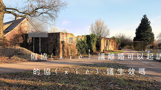 假協(xié)議離婚可以起訴嗎(假離婚寫的協(xié)議生效嗎)