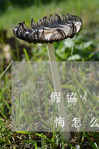 假協(xié)議離婚財產(chǎn)反悔怎么辦(離婚協(xié)議反悔了怎么辦)